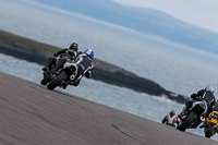 PJ-Motorsport-2019;anglesey-no-limits-trackday;anglesey-photographs;anglesey-trackday-photographs;enduro-digital-images;event-digital-images;eventdigitalimages;no-limits-trackdays;peter-wileman-photography;racing-digital-images;trac-mon;trackday-digital-images;trackday-photos;ty-croes